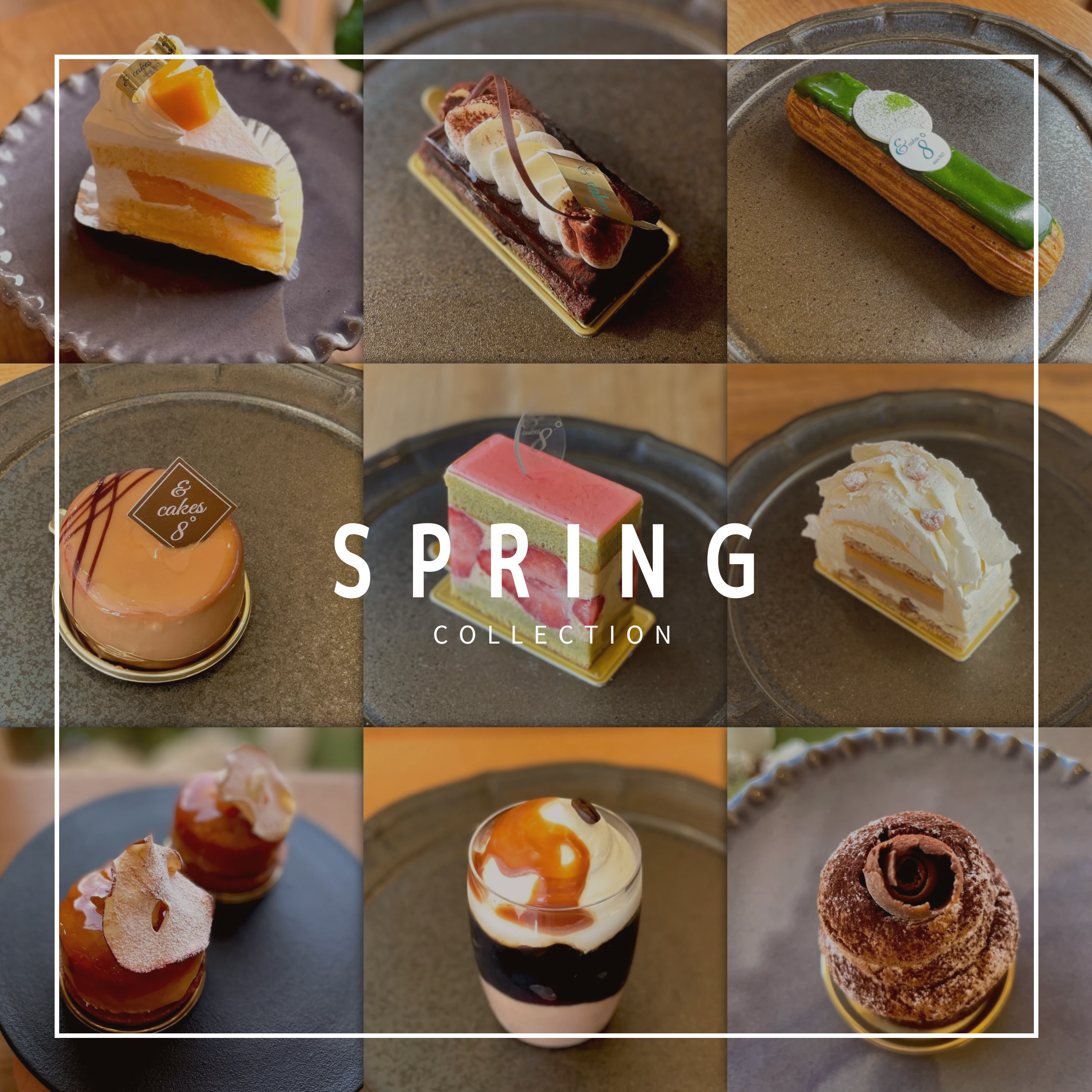 spring collection2024|[公式]安城市のカフェ＆ケーキ アンドケイクスパッチ